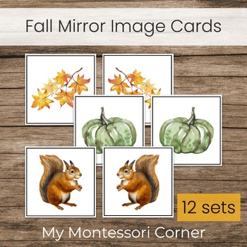 Preview of Fall Matching Cards, Mirror Image Visual Discrimination and Memory Activity