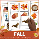 Fall Matching Identical Pictures Activity for Special Educ