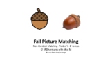 Fall Matching- Non-Identical Match- Field of 1- Errorless