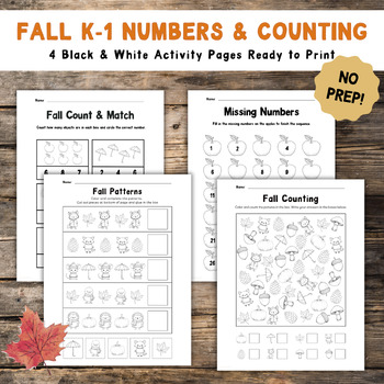 Preview of Fall Math Worksheets | B&W Printable Activity | K-1 Counting, Patterns, Numbers