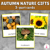 Fall Nature Seasonal Montessori 3-part Cards | Autumn Activity