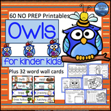 Fall Owl Activities for Kindergarten: Owls Math and Litera