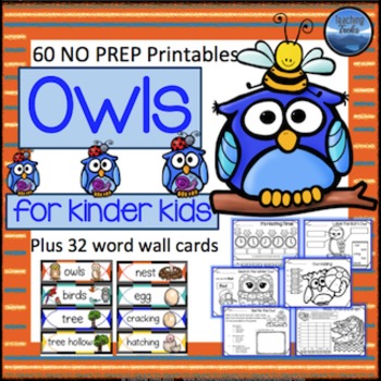 Preview of Fall Owl Activities for Kindergarten: Owls Math and Literacy Worksheets 