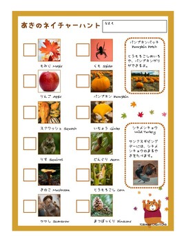 Preview of Fall Picture Cards and Fall Nature Hunt Card 秋の絵カードと秋のネイチャーハントカード