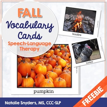 Preview of Fall Picture Vocabulary Cards for Speech-Language Therapy - Freebie