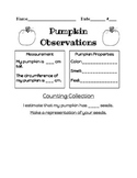 Fall Pumpkin Counting Collection/Observation