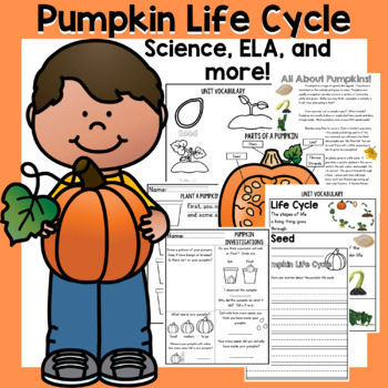 Preview of Fall Pumpkin Life Cycle Pumpkin Investigation Pumpkins Pumpkin Science