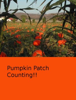 Preview of Fall Pumpkin Patch Counting!