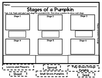 Preview of Fall Pumpkin and Apple Life Cycle Sequencing Worksheet