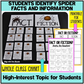 Spider Research Graphic Organizer (Teacher-Made) - Twinkl