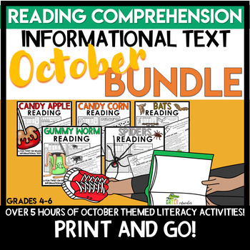 Preview of Fall Reading Comprehension Passage Activities & Word Search BUNDLE