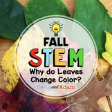Autumn Leaves Fall STEM Activity