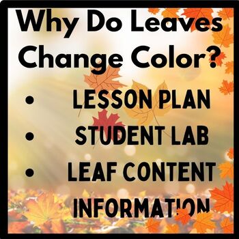 Preview of Fall Science Lab: The Colorful Mystery of Leaves:  Lab & Questions: Middle/high
