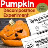 Halloween Fall Science: Pumpkin Decomposition Experiment