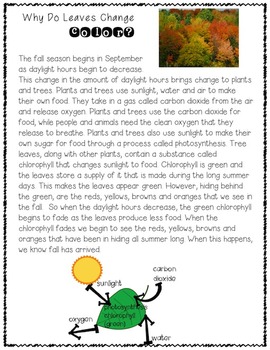 Fall Science FREEBIE~ Why Do Leaves Change Color? | TpT