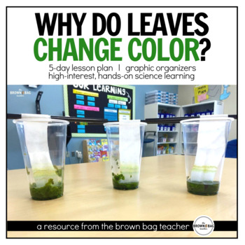 Preview of Fall Science: Why Do Leaves Change Color? NGSS Changing Seasons Experiment