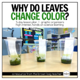 Fall Science: Why Do Leaves Change Color? NGSS Changing Se