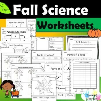 Preview of Fall Science Worksheets {Trees and Leaf Life Cycle}