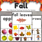 Fall Sorting Activity | Non Identical Matching for Special