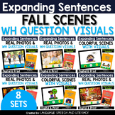 Speech Therapy Picture Activities ,  WH Questions, Fall &T