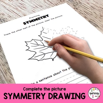 Preview of Fall Symmetry Drawing Activity with Literacy and Math Connections.