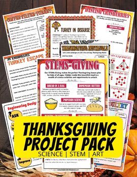Preview of Fall Thanksgiving STEM Activity Pack