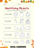 Fall Theme Identifying Objects Activity