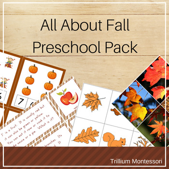 Preview of Fall Theme Preschool and PreK Skills