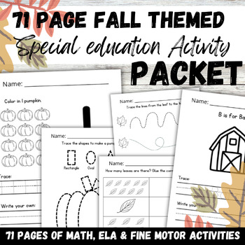 Preview of Fall Themed Autism and DCD Special Education Math Reading and Fine Motor Packet