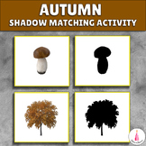 Fall Visual Discrimination Activity | Montessori Shadow Ma