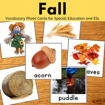 Preview of Fall Vocabulary Words Speech Therapy ESL Picture Cards Autism Autumn