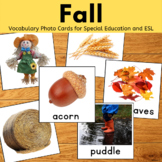 Fall Vocabulary Words Speech Therapy ESL Picture Cards Aut