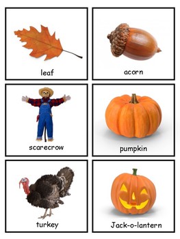 Preview of Autumn Vocabulary and Silhouette Match--Montessori Matching Activity--Fall