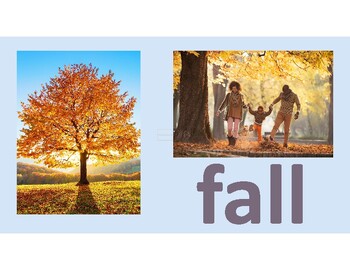 Preview of Fall Winter Spring Summer Numbers 1-10 Visual Printable Preschool Bulletin Board