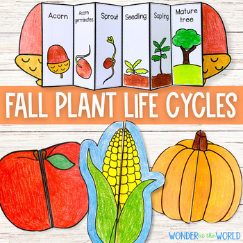 Preview of Fall autumn plant life cycle foldable sequencing activities apple pumpkin corn