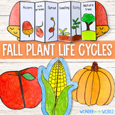 Fall autumn plant life cycle foldable sequencing activitie