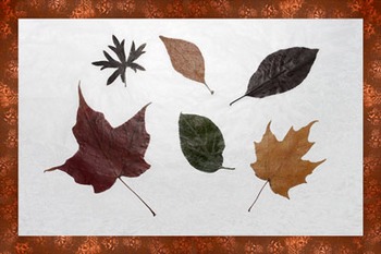 Fall craft with dried leaves 