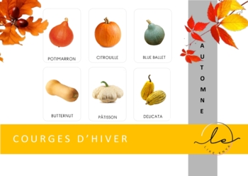 Preview of Fall flash cards_Les courges_FRENCH_SCRIPT MAJUSCULE