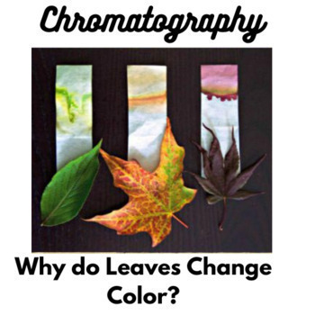 Preview of Chemistry Biology Fall Leaf Chromatography Lab High School Science