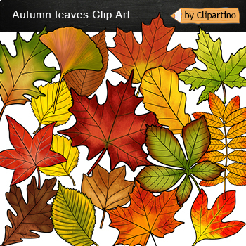 Preview of Fall leaves Clip Art commercial use / Autumn fall leaves Clip Art bundle