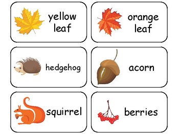 20 Preschool Picture Word Fall Flashcards. 