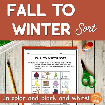 Preview of Fall to Winter Sort Worksheet