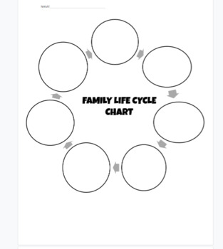 Family Life Cycle Worksheets Teaching Resources Tpt