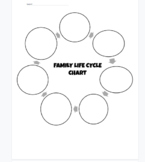 Family Life Cycle Activity