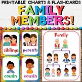 Family Member Flashcards - Sister, Brother, Grandma, Aunt, Cousins ESL, EFL