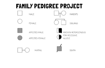 biology pedigree with traits for pictures and projects