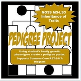 Family Pedigree Project Lab Activity: Genetics-Poster base