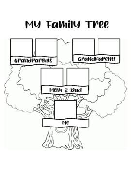 Family Tree by Owl-standing Worksheets | TPT