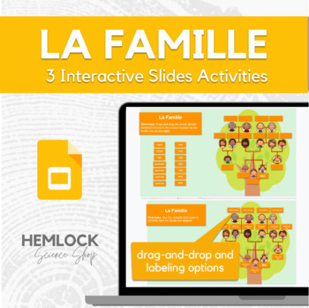 Preview of Family Tree in French / La Famille - drag-drop/labeling in Slides