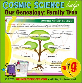 Preview of Genealogy: Family Tree & Roots - Elementary Montessori History, Social Studies
